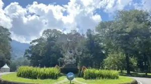 Kebun Raya Bedugul 